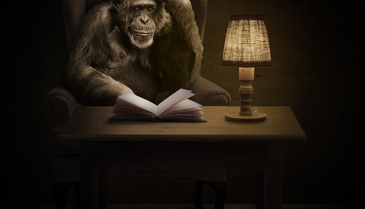 șase animale sălbatice care se înțeleg bine cu oamenii